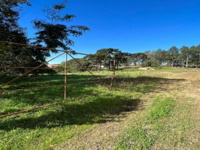 Área de 5.600m² em Caxias do Sul/RS - Lote Rural