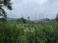 Área de Pastagem com 17.051m² em Goiânia