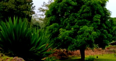 Lote Urbano com 1.110 m² em Vicente Dutra/RS