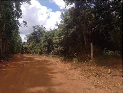 Terreno Rural Desocupado em Itamarandiba - 42,88 hectares