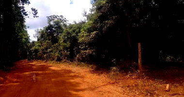 Terreno Rural Desocupado em Itamarandiba - 42,88 hectares
