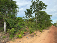 Terreno em Nova Xavantina - MT com 4.930m²