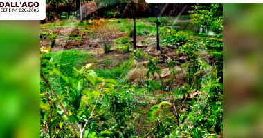 Terreno amplo com 165.731m², ideal para investimento ambiental