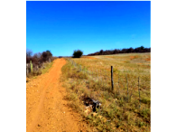 Sítio Aropeira com 60 hectares em Dormentes/PE