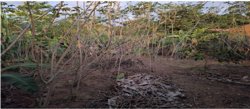 Terreno com 200 m² no Residencial Savana Park
