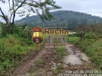 Imóvel Rural com 188 hectares em Guaraqueçaba