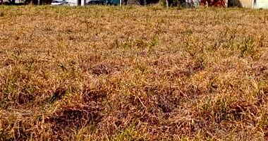 Terreno Urbano 480m² Desocupado em Cascavel/PR