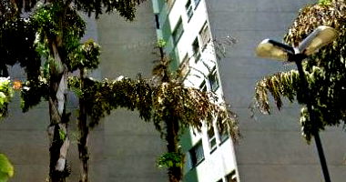 Apartamento 27 m² com 1 quarto e 1 banheiro, próximo ao metrô