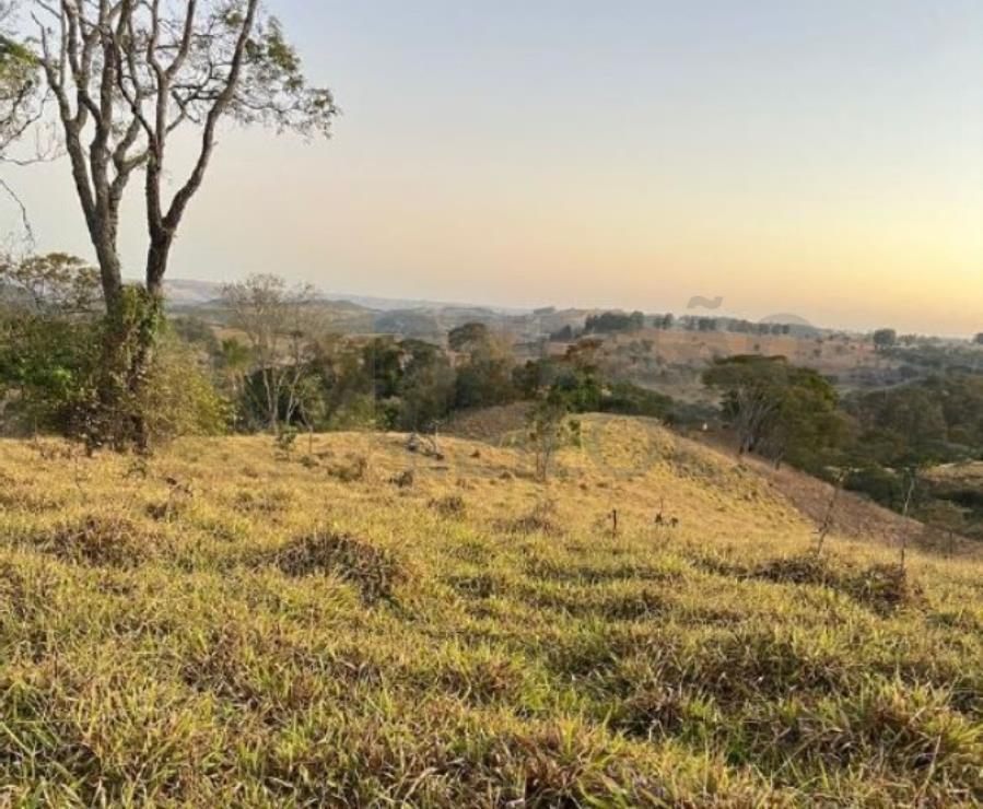 Fazenda com 27.61 ha em Patos de Minas