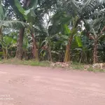 Fração ideal 16,66% de terreno rural 3.689m², sem benfeitorias