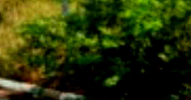 Terreno 147,44 m² no Loteamento Vivari