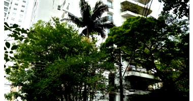 Apartamento Duplex Luxuoso com 4 Suítes em Alto de Pinheiros