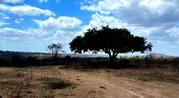 Parte de Terra Nua em Nova Cruz/SP