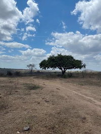Parte de Terra Nua em Nova Cruz/SP