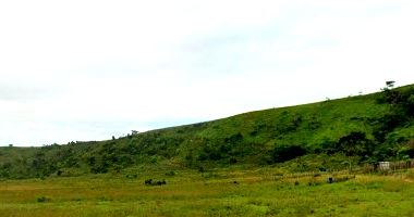 Imóvel Rural com 180,92ha em Colônia Leopoldina/AL