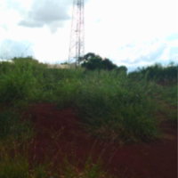 Terreno Urbano 323.01 m² - Espigão Alto do Iguaçu/PR