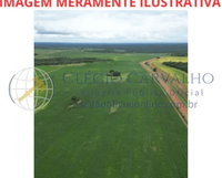 Área Rural de 400 Ha com Potencial para Investimento