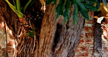 Casa com 87m² em Arapongas/PR