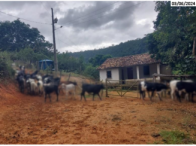 Fazenda com 396,05 hectares em Crisólita/MG