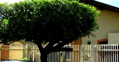 Casa com 3 Quartos e 2 Banheiros em Barretos