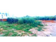 Terreno com 1.431m² em Rio Branco/AC