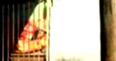 Casa em Terreno de 250 m² em Olímpia - SP