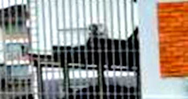 Apartamento com 2 quartos em Taquara/RS