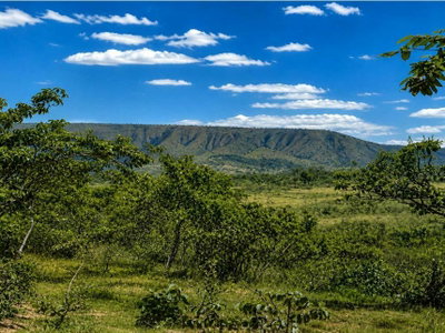 Área rural de 167 ha ocupada com direitos fiduciários