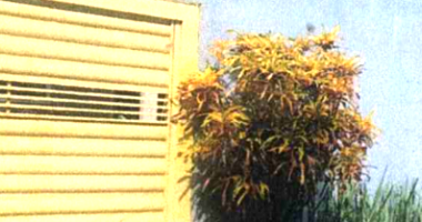 Terreno Urbano com Edificações em Campo Grande/MS