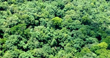 Terreno Rural com Fração Ideal em Maximiliano de Almeida/RS