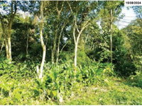 Terreno de 280m² com parte ideal de 50% em Itanhaém/SP