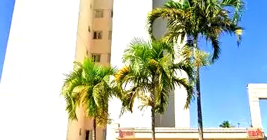 Apartamento com 3 quartos em leilão em Goiânia