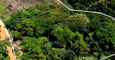 Terreno Amplo em Salvador - Loteamento Granjas Reunidas