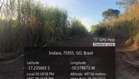 Fazenda Areado - Área Rural em Indiara-GO