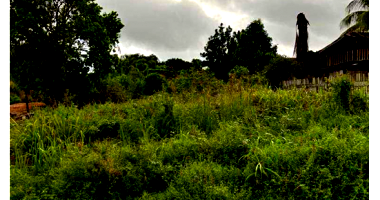 Terreno com 464,65m² em Buritis/RO