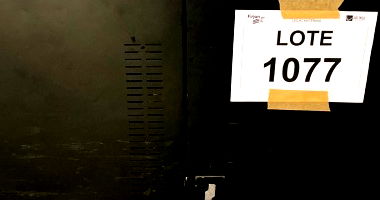 Sucata de Equipamentos Eletrônicos - Oportunidade Única