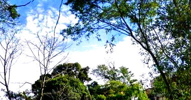 Terreno Amplo em Santos com 3.000m²