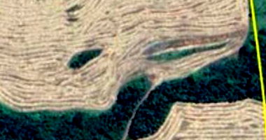 Imóvel Rural com Área de 121.000 m² em Nova Prata do Iguaçu