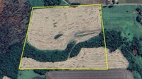 Imóvel Rural com Área de 121.000 m² em Nova Prata do Iguaçu