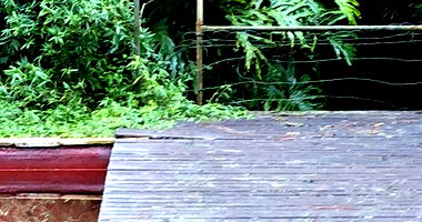 Espaçosa Chácara Desocupada com 4.090m² e Área Total