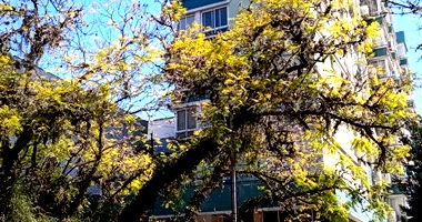 Loja com 251,83m² em Edifício Marseille