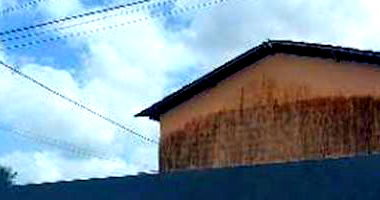 Casa em Condomínio Ocupada com 2 Quartos e 1 Vaga