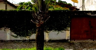 Casa residencial 111m² com 3 quartos e 2 banheiros, desocupada