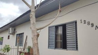 Casa com 3 quartos e 1 banheiro, 280 m², ocupada