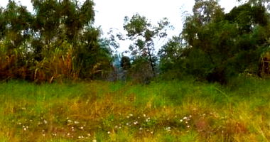 Terreno Urbano Comercial/Industrial 1090m² em Mandaguaçu PR