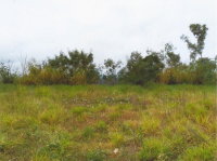 Terreno Urbano Comercial/Industrial 1090m² em Mandaguaçu PR