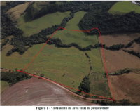 Área Rural de 121.000m² com Ótimo Potencial Agrícola