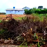 Terreno Urbano com ótima localização e aceitação de lance parcelado