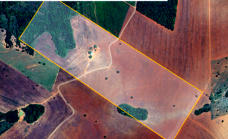 Sítio com 50,27ha em Bom Jardim de Goiás/GO