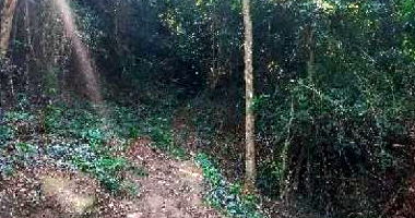 Terreno amplo com 481,3m² em Piratininga, Niterói